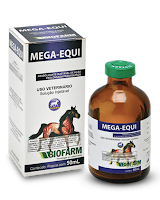  MEGA-EQUI