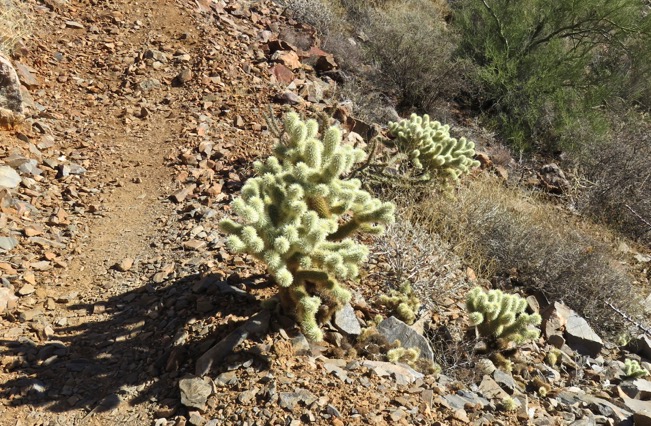HikingTomThumbTrailLoop-17-2015-12-10-19-29.jpg