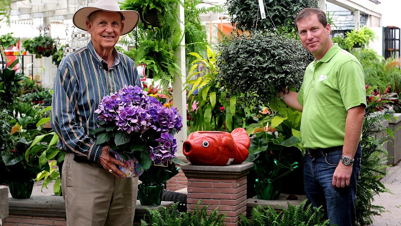 Atlantic Garden Center Virginia Beach