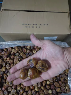 beath khajoor dates at wholesale rates