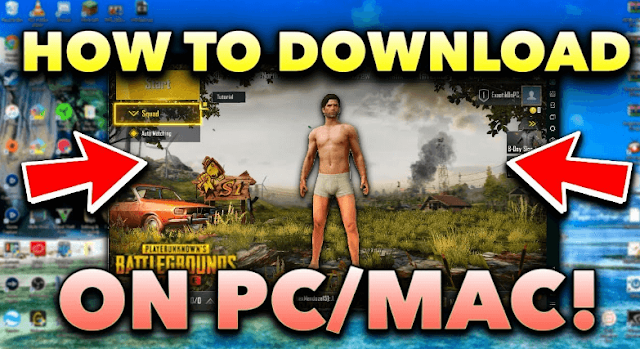 PUBG Lite For PC