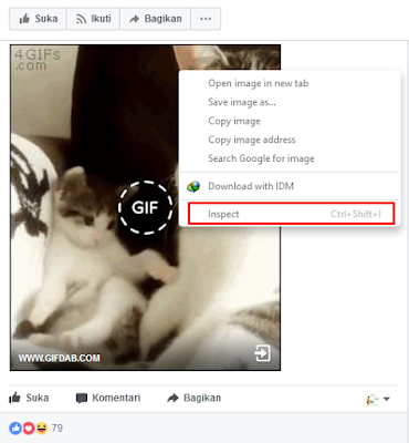 Cara Download Animasi GIF Menjadi Video MP4 Tanpa Convert