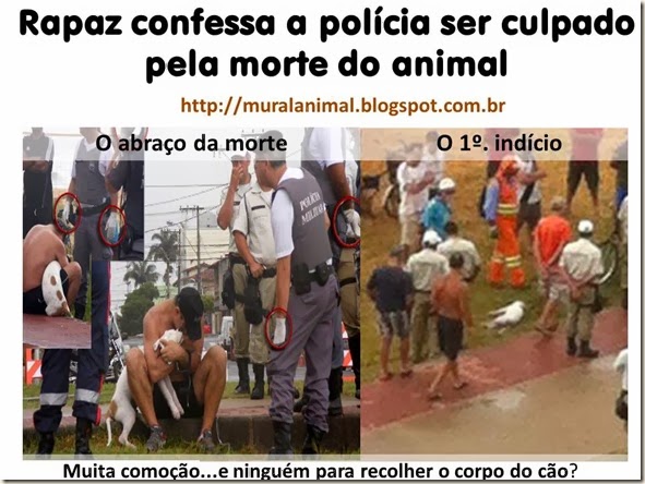 Rapaz confessa a polícia ser culpado