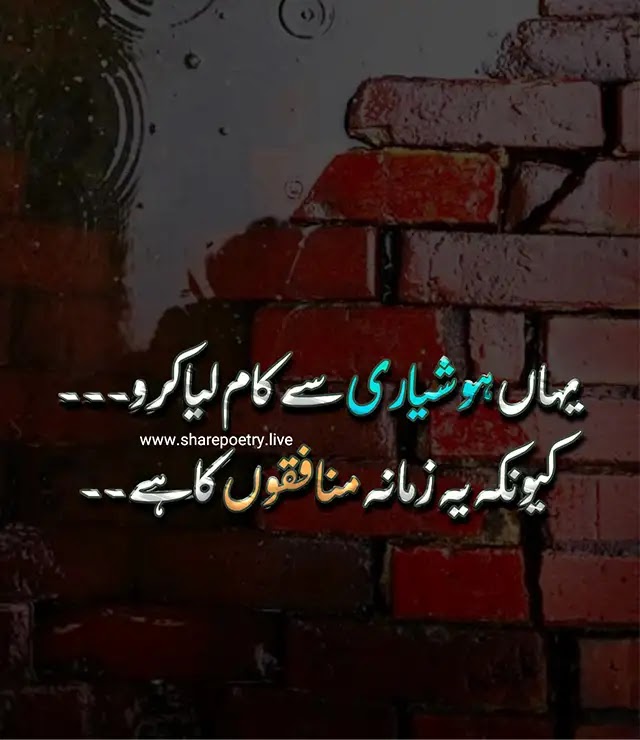 Hypocrites in Urdu Poetry - 2 Line poetry 2022