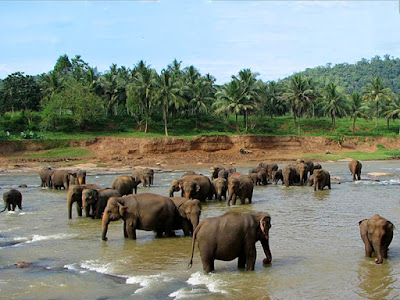  which are even then unknown to the travelers or conduct maintain non been fully explored IndiaTravelDestinationsMap: INDIA TRAVEL - THE UNSEEN KASHMIR OF ODISHA - DARINGBADI