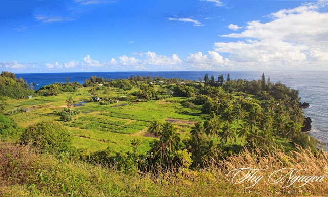 On the road to Hana