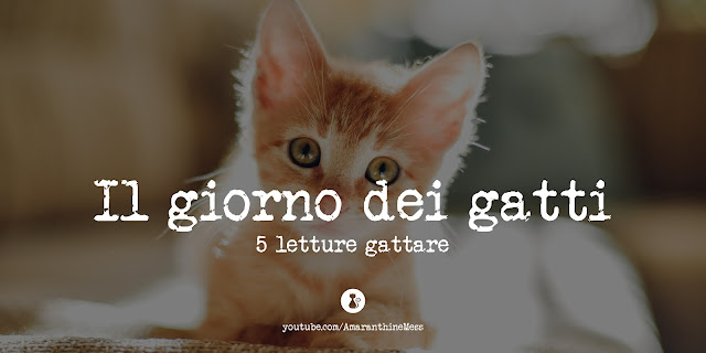 giorno dei gatti 17 febbraio