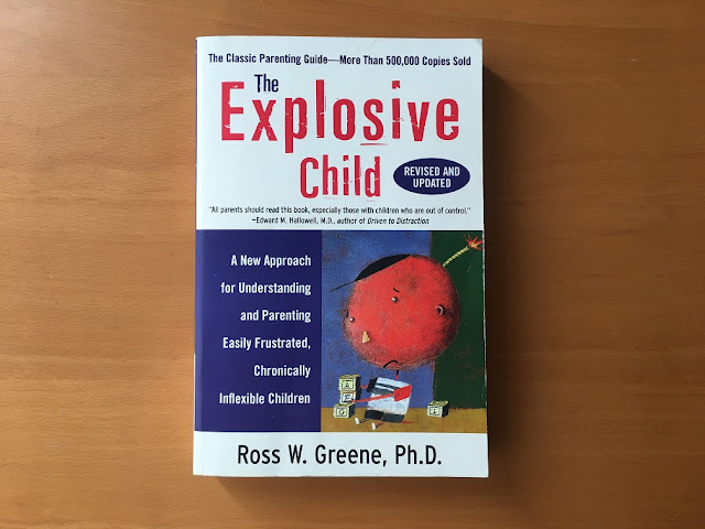 book the explosive child
