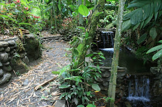 Turismo en Ecuador - La Guarida del Coyote Hostería