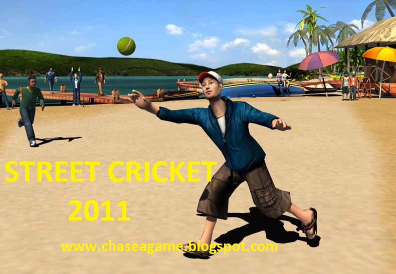 Street Cricket 2011