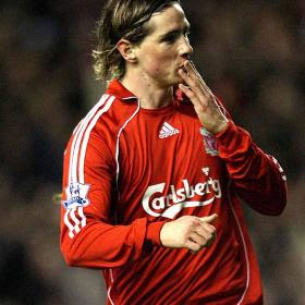 fernando torres spain