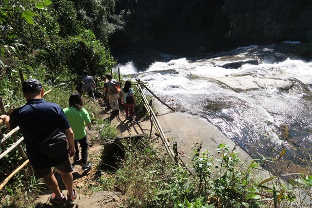 Waterfall - while hiking the Pha Dok Siew nature trail at Doi Inthanon