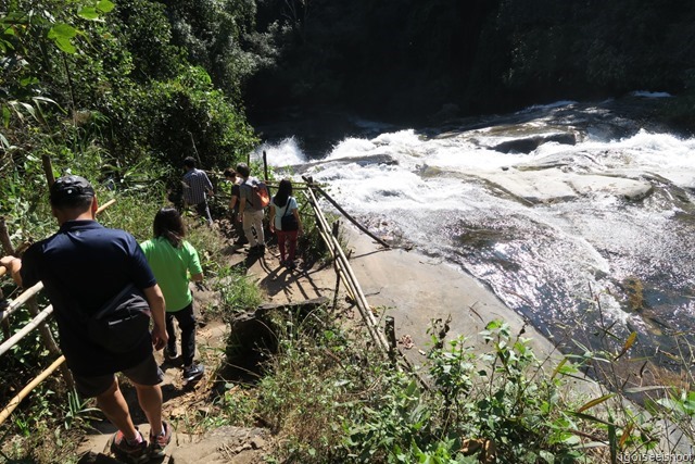 Waterfall - while hiking the Pha Dok Siew nature trail at Doi Inthanon