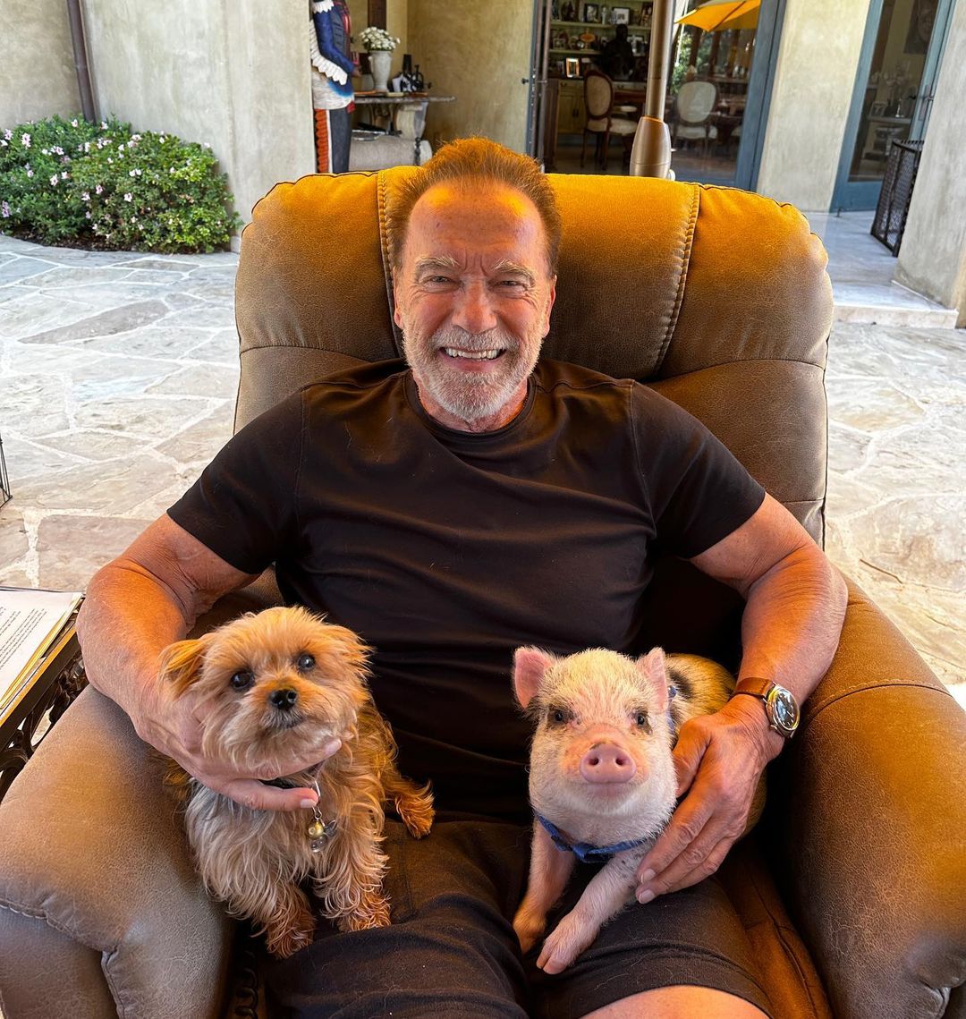 Arnold Schwarzenegger, his pet pig and dog