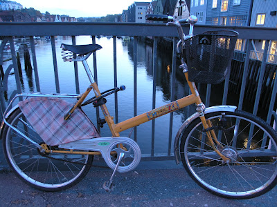 folding bike Trondheim with a skirt guard