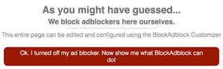 hasil pemasangan script blockadblock di blogspot