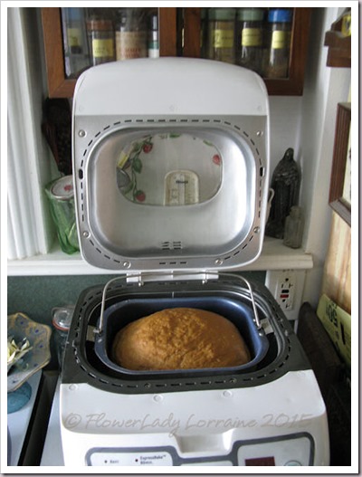 09-15-oatmeal-bread3
