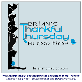 Brian's Thankful Thursday