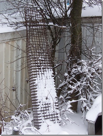 snow 1.30.2010 024