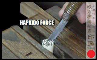  hapkido force