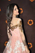 Kanika Kapoor glamorous photos-thumbnail-18