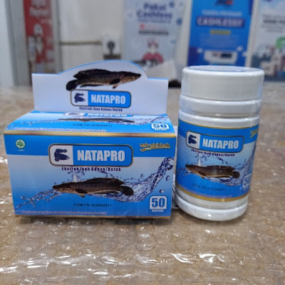 NATAPRO PRO ALBUMIN Ekstrak Ikan Gabus Kutuk Ash-Shihhah 50 Kapsul