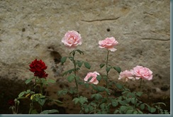 legrandroc070813 012
