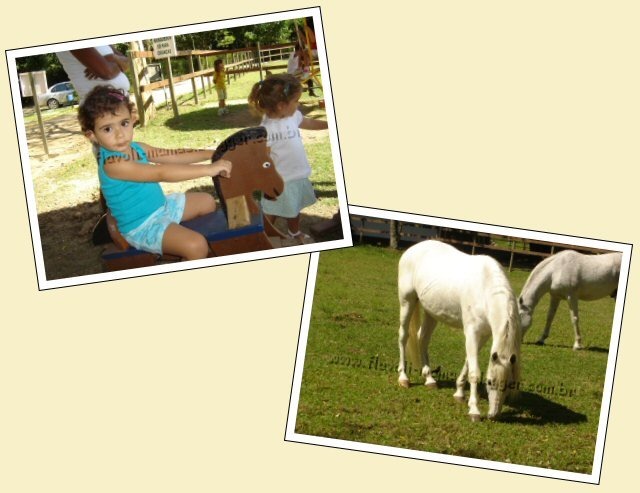 20060826_haras2