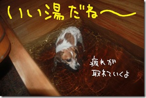 カズ便り１００８２２　４