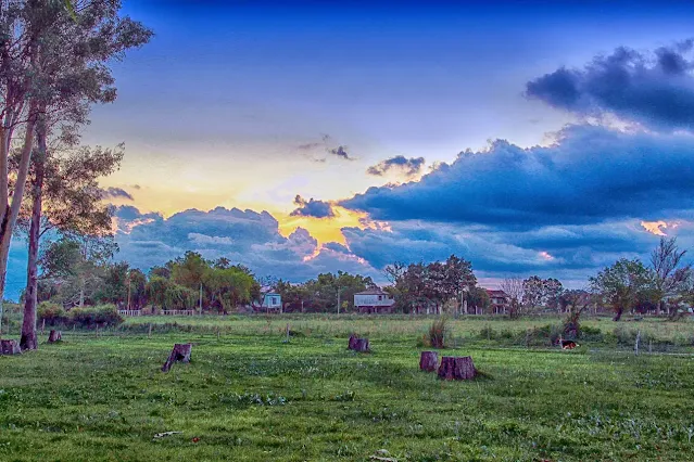 Paisaje campestre donde el verde del pasto se funde con el majestuoso atardecer