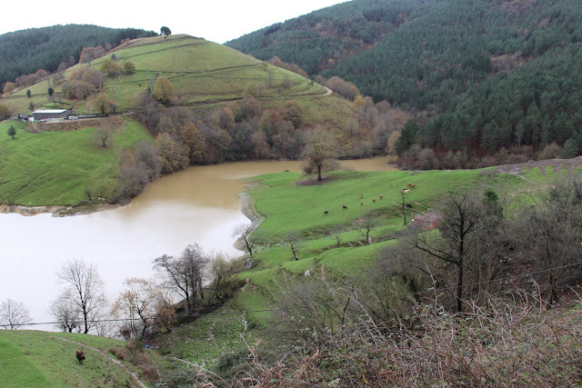 Pantano de Oiola