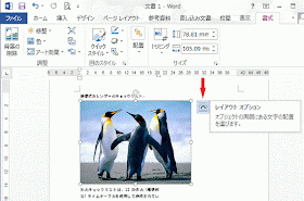 写真の位置を調整