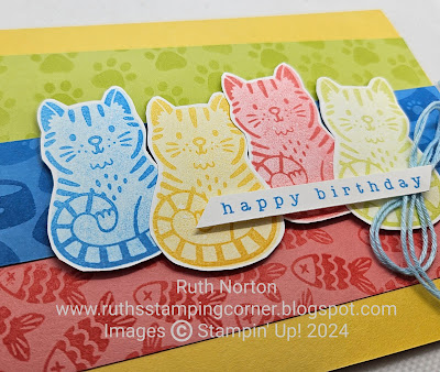 stampin up, pets and more