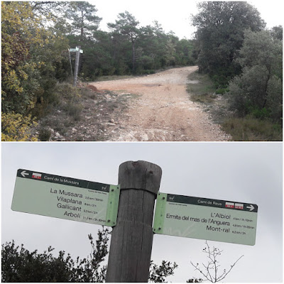 GR-7 ARBOLÍ A MONTRAL, camí al Bosc de l'Abelló al terme de Vilaplana - Baix Camp - Tarragona