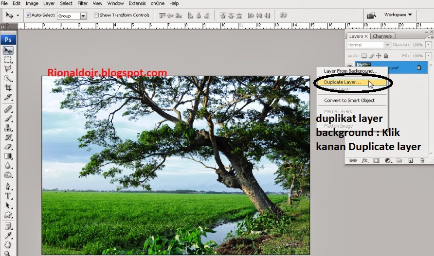 Tutorial photoshop cara merubah sebagian warna background dengan gradient tool  Anda pun bisa merubah atau mengganti warna backround pada objek foto atau gambar yang anda miliki. Melalui fitur seleksi channel mode maka seleksi sebagian background akan dirasa sempurna dan presisi tanpa ada seleksi kasar pada objek selain background yang akan anda rubah.  Silahkan anda simak langkah langkahnya sebagai berikut  Proses seleksi dan refill pada background menggunakan Photoshop :  1. Buka objek yang akan anda rubah warna background nya dengan aplikasi Photoshop anda (saya mengunakan photoshop cs2), atau anda bisa menggunakan sesuai dengan contoh tutorial kali ini DISINI  2. Duplikat layer bakcground tersebut dengan klik kanan pada duplicate layer  3.  Pindah ke Tab channels, klik pada mode warna biru (blue) kemudian duplikat channel biru tersebut dengan klik kanan duplikat channel  4. Setelah channel biru tercopy, klik pada channel tersebut masuk pada pilihal level warna dengan menekan CTRL + L atur intensitas level warna pada value 14, 0.30, 132 (bisa lihat keterangan gambar)   5. klik pada bagian thumbnail channel blue copy sambil menekan ctrl, Setelah terseleksi otomatis pindahkan cursor ke mode channel rgb yang ada di bagian atas channel  6.  Kembali lagi ke Tab layers yang ada di sebelah tab channels, pada layers background copy delete atau dengan menekan tombol delete pada keyboard anda.  7. Tambahkan warna baru yang akan anda rubah dengan menambahkan gradient warna, klik icon add gradient yang berada paling bawah, klik add gradient pilih gradient  8.Setelah memasuki gradient editor silahkan pilih warna yang sesuai untuk merubah background foto anda, saya memilih warna biru dengan gradient fill putih.   9. Hasilnya seperti gambar berikut. Tampak warna langit pada background foto berubah secara dramatis   10. Bisa anda lihat perbandingan nya, objek background foto sebelum dirubah warna (refill collor) dengan sesudah di refill warna menggunakan photoshop dengan cara2 diatas.   Demikianlah tutorial photo shop cara mengganti sebagian warna background dengan gradient tool.  Terima kasih semoga bermanfaat.  Download modul tutorial photoshop mengganti warna background dengan seleksi sempurna (refill collor gradient tool) PDF