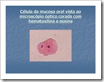 Slide14