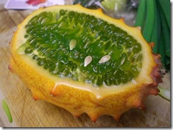 hornedMelon
