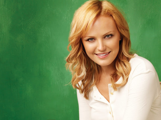 Malin Akerman Hd Wallpapers