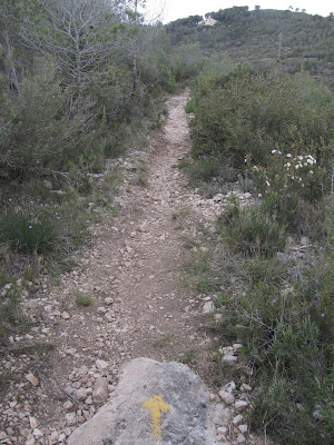 VILAFRANCA DEL PENEDÈS AL REIAL MONESTIR DE SANTA MARIA DE SANTES CREUS PERE EL GRAN - Seguint la ruta del seu enterrament pel Camí Ral, Cami Ral en direcció a l'ermita de Santa Cristina a La Bisbal del Penedès