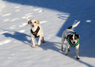 Thelma and Louise in the snow