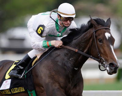 Horse Of The Year Show Fantastic Photos