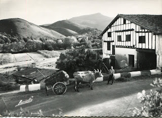 pays basque autrefois ferme attelage agriculture paysan