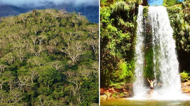 Madidi National Park, Bolivia