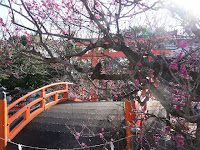 桃の節句、下鴨神社