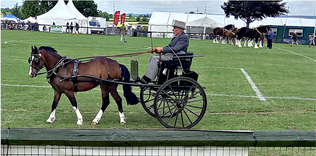 Horse and carriage