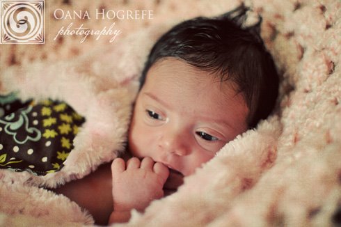 best newborn photographers atlanta metro