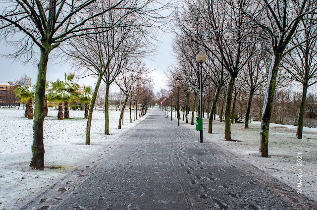 Logroño nevado enero 2021