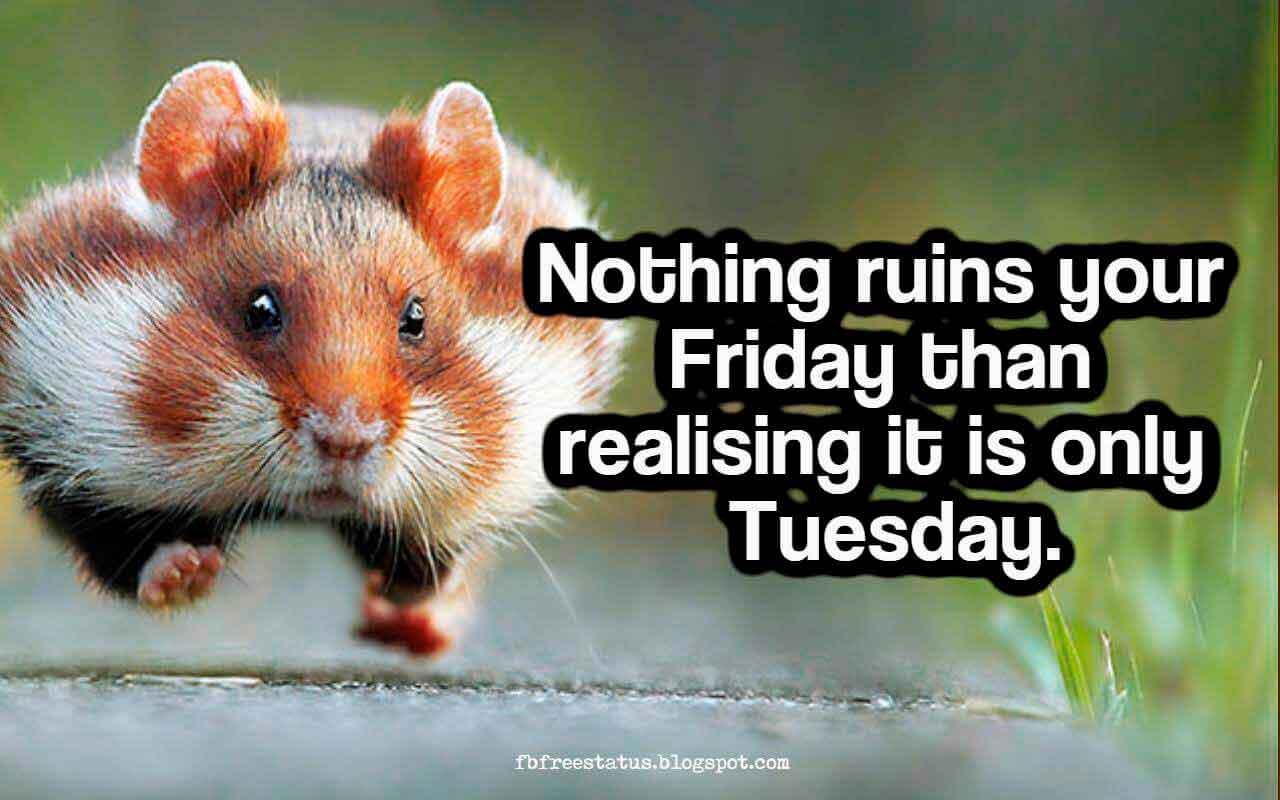 Nothing ruins your Friday than realising it is only Tuesday.