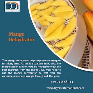 Mango Dehydrator