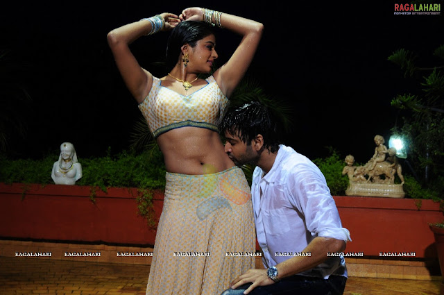 priyamani hot in raj movie